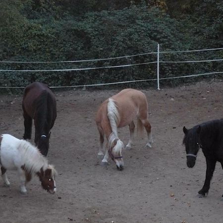 הוילה Lucéram La Ferme Des Cailletiers Chez Marco מראה חיצוני תמונה