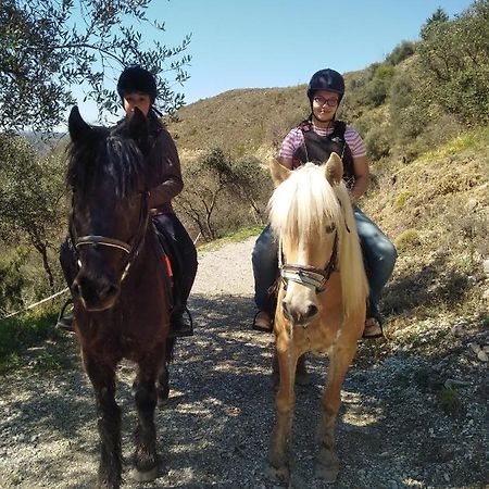 הוילה Lucéram La Ferme Des Cailletiers Chez Marco מראה חיצוני תמונה