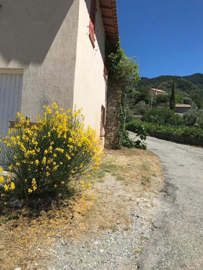 הוילה Lucéram La Ferme Des Cailletiers Chez Marco מראה חיצוני תמונה