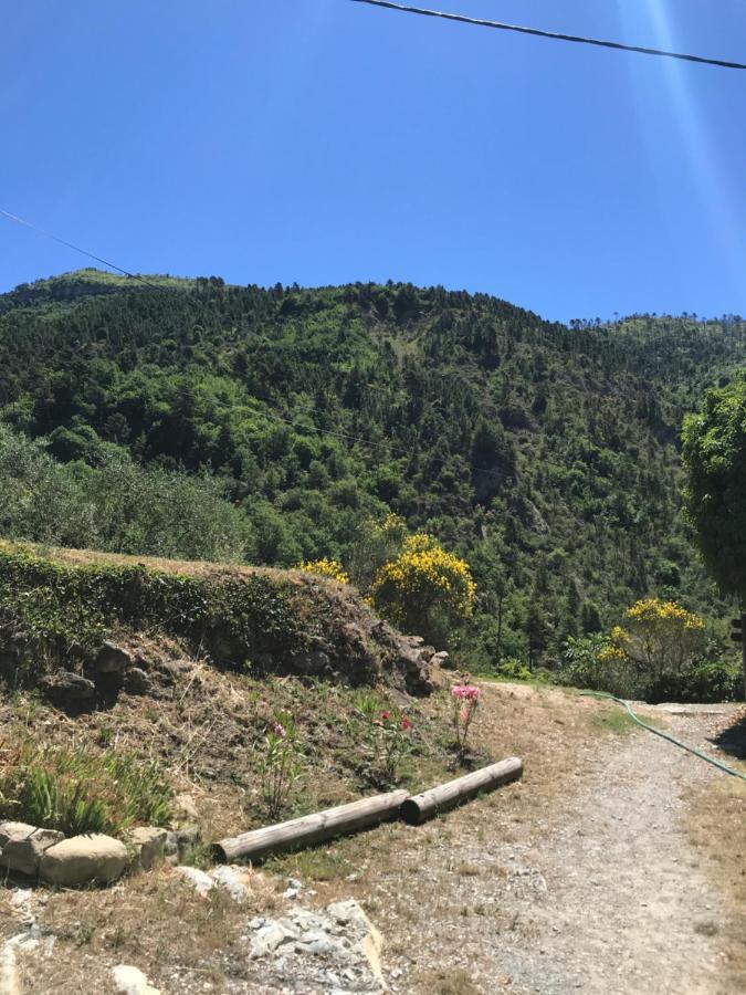 הוילה Lucéram La Ferme Des Cailletiers Chez Marco מראה חיצוני תמונה