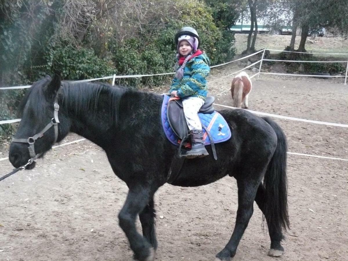 הוילה Lucéram La Ferme Des Cailletiers Chez Marco מראה חיצוני תמונה